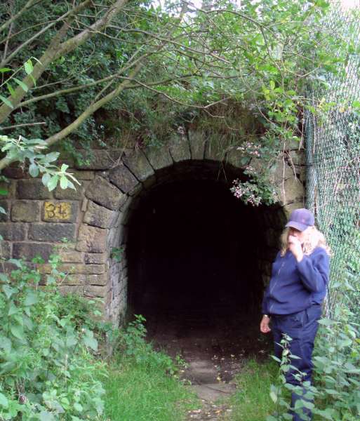  Ward Lane Bridge, Huddersfield Narrow Canal, Saddleworth 