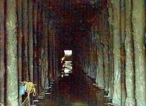 Bates Tunnel
