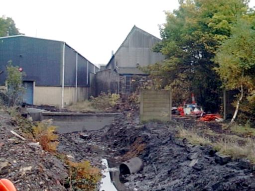 Looking east to the Sellers' buildings