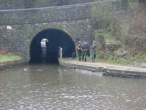 Scout Tunnel