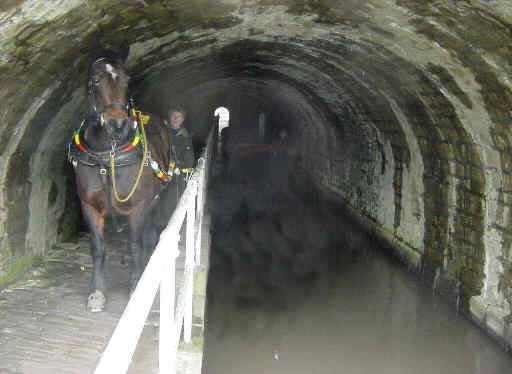 Scout Tunnel