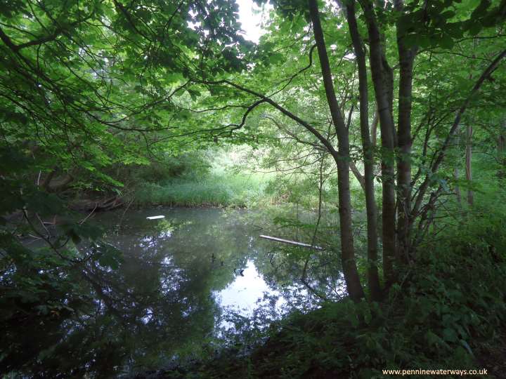 Off Reddish Vale Road, Beat Bank Branch Canal