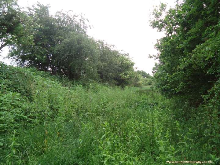 East of Ross Lave Lane, Beat Bank Branch Canal