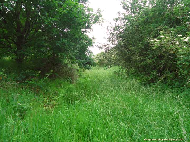 East of Ross Lave Lane, Beat Bank Branch Canal