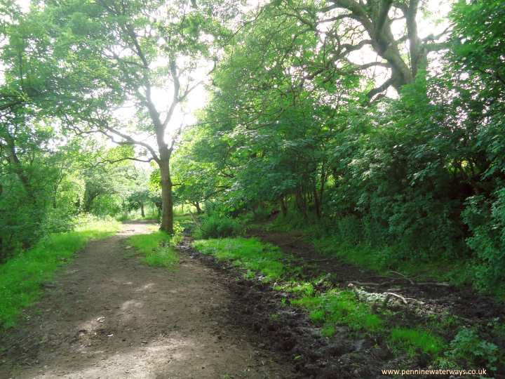 East of M60, Beat Bank Branch Canal