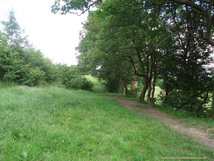 Approaching Horse Close Wood, Beat Bank Branch Canal