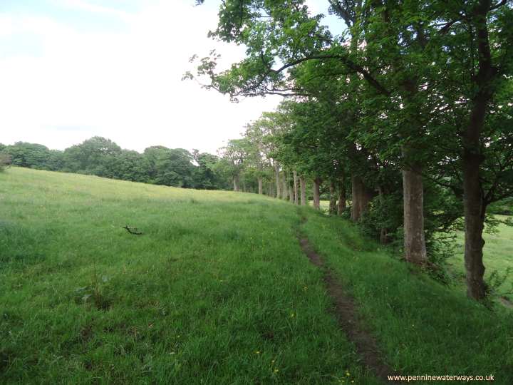 Approaching Horse Close Wood, Beat Bank Branch Canal