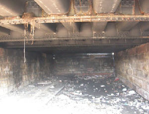 Beneath Manchester Road Bridge, Droylsden. Photo: Bob Gough