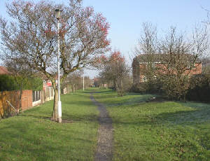 canal route beyond Sunnyside Road. Photo: Bob Gough