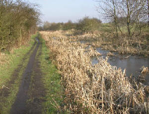 The canal in the Medlock Valley. Photo: Bob Gough