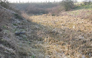 Infilled canal beyond Banks Bridge, Woodhouses. Photo: Bob Gough