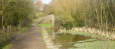 lock, Daisy Nook