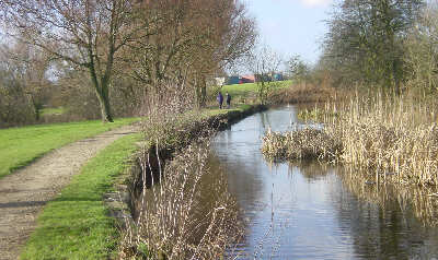 the Fairbottom Branch, Daisy Nook