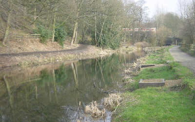 Bardsley Bridge, Fairbottom Branch