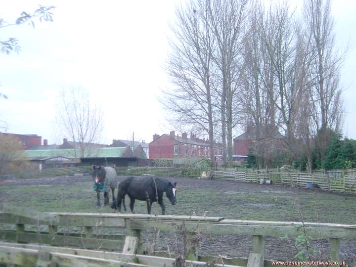 Whitehill, Stockport Branch Canal