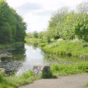 Barnsley Canal