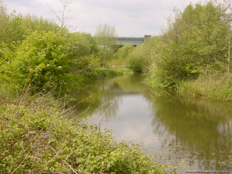 Barnsley Canal between Oakenshaw and Walton