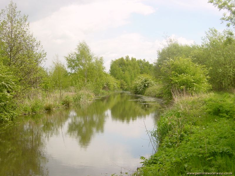 Barnsley Canal between Oakenshaw and Walton