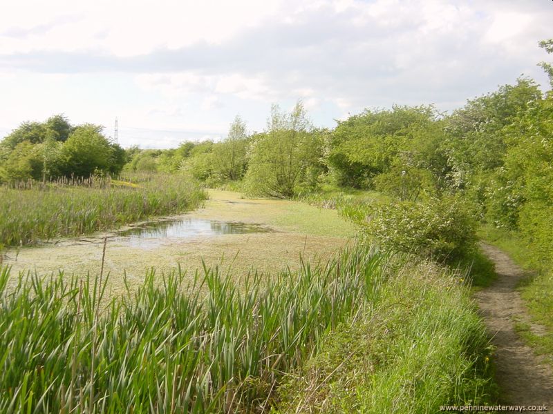 Barnsley Canal between Oakenshaw and Walton