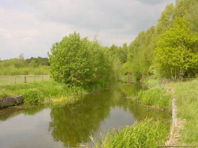 Barnsley Canal between Oakenshaw and Walton