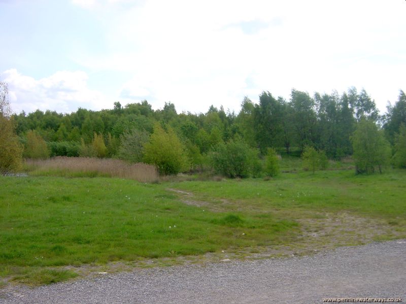 Barnsley Canal between Oakenshaw and Walton