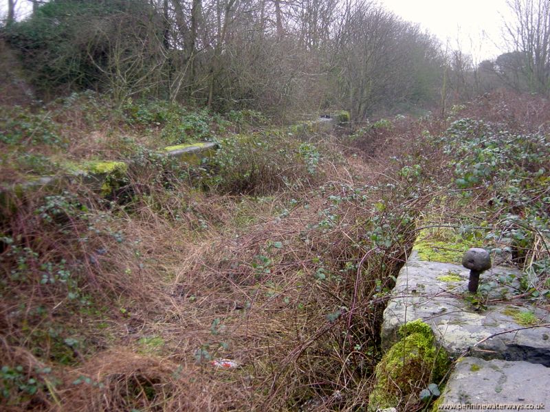 Walton Locks, Barnsley Canal