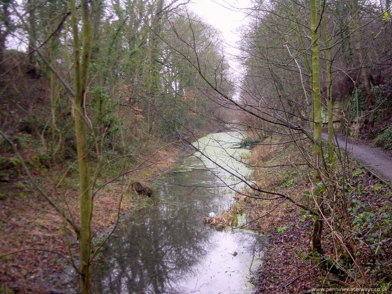 Barnsley Canal, Haw Park