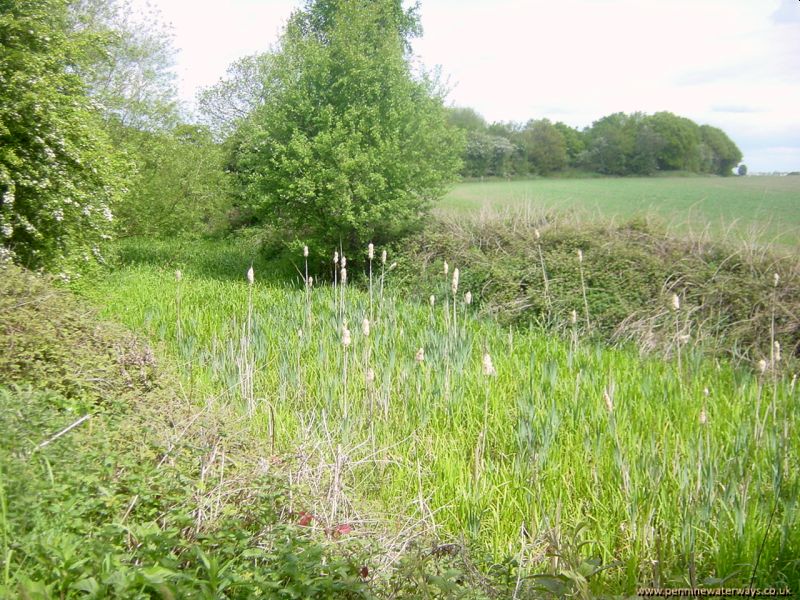 clearing near Haw Park, Barnsley Canal