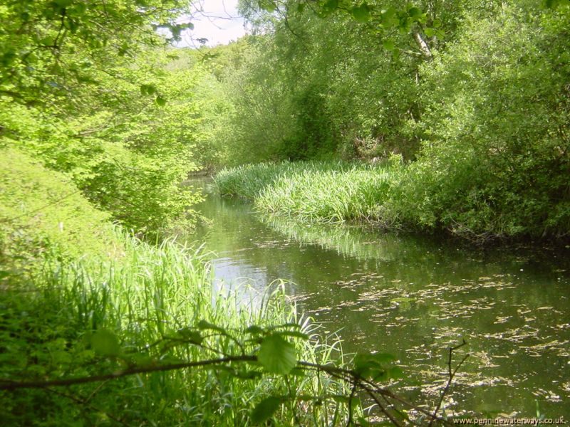 Haw Park woodlands, Barnsley Canal