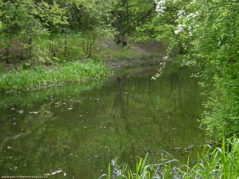 Barnsley Canal, Haw Park