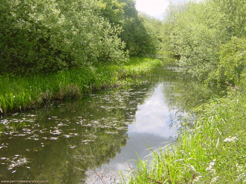 Barnsley Canal, Haw Park