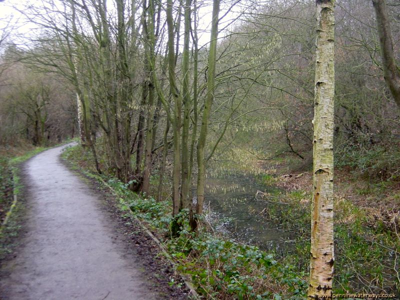 Barnsley Canal, Haw Park