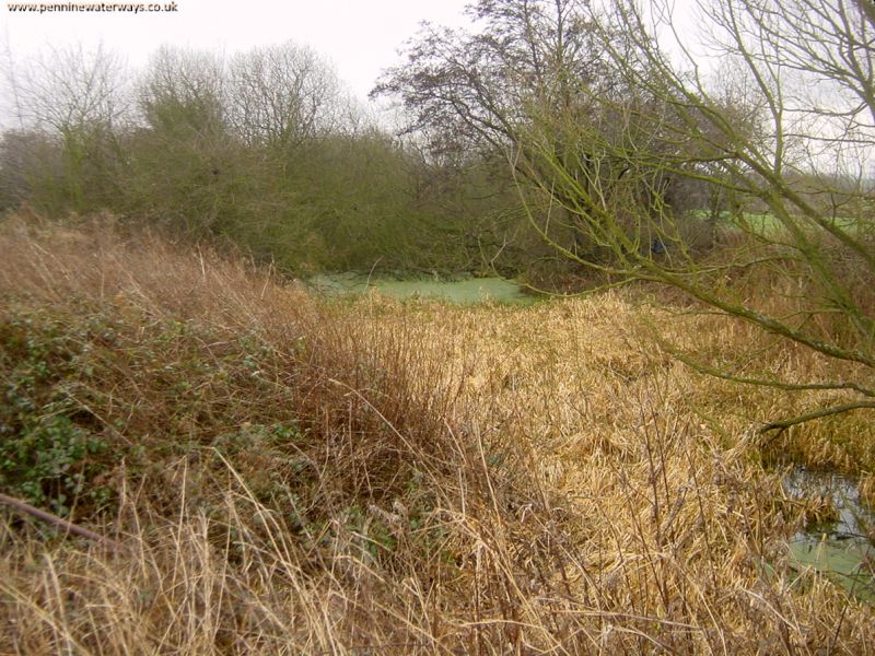 Barnsley Canal