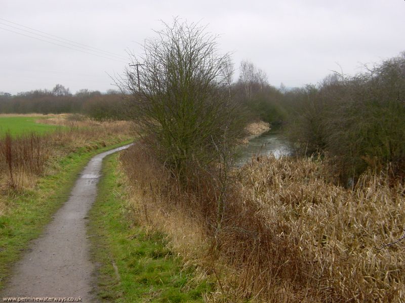 From Cold Hiendley Bridge, Barnsley Canal