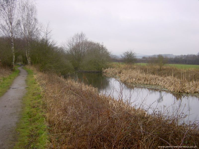 South of Cold Hiendley Bridge, Barnsley Canal