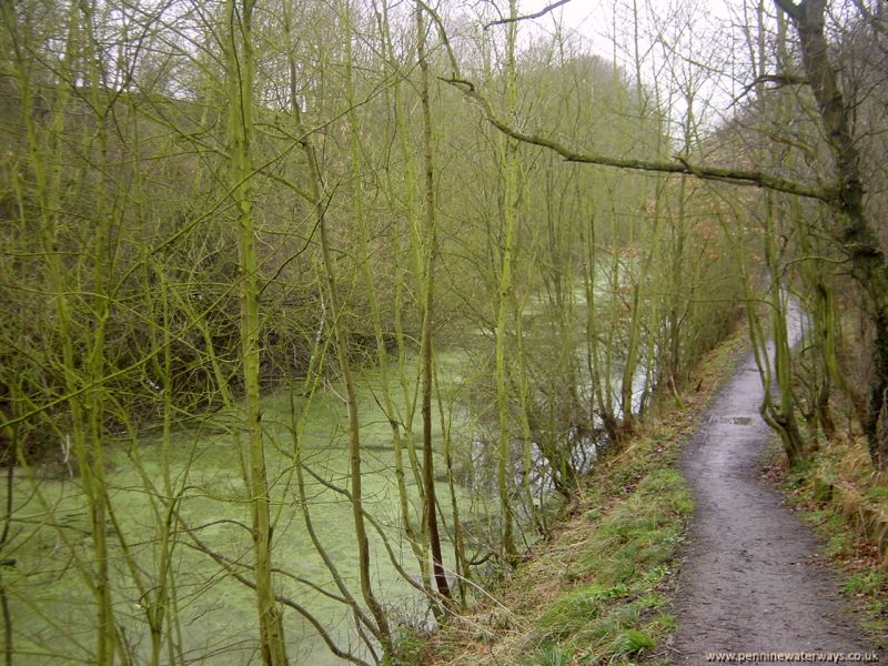 High Bridge, Old Royston, Barnsley Canal