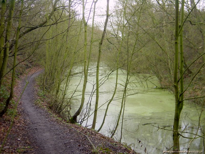 Barnsley Canal