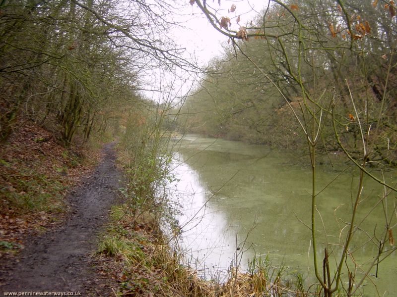 Barnsley Canal