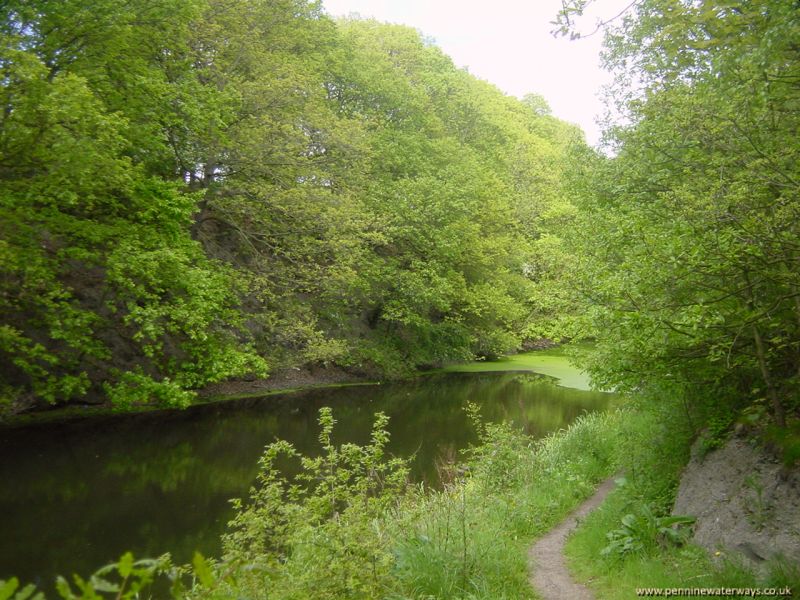 Barnsley Canal