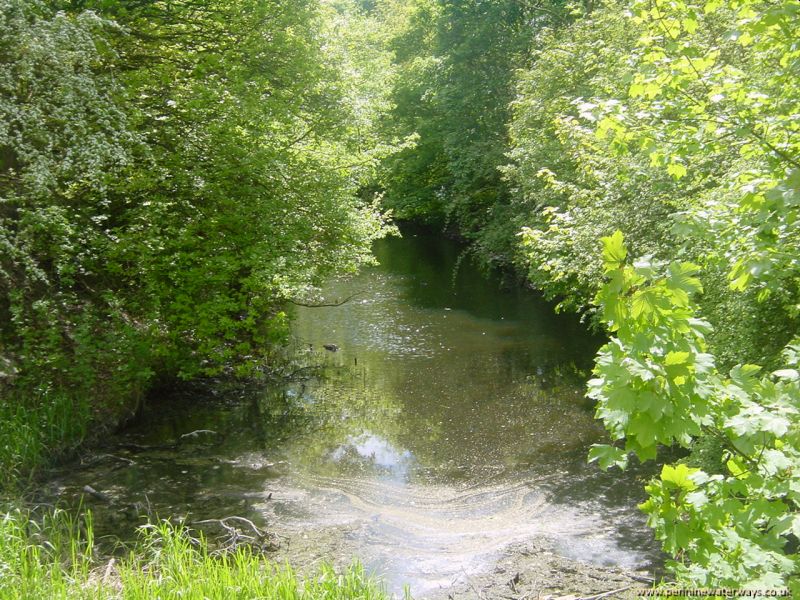 near Royston, Barnsley Canal