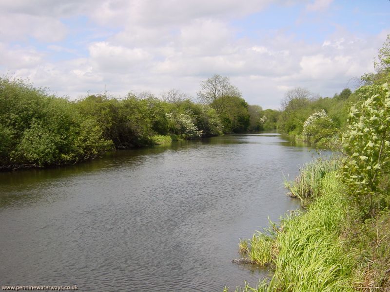 near Royston, Barnsley Canal