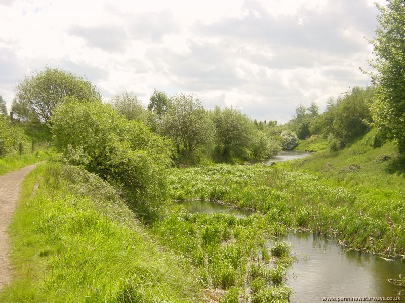 Barnsley Canal