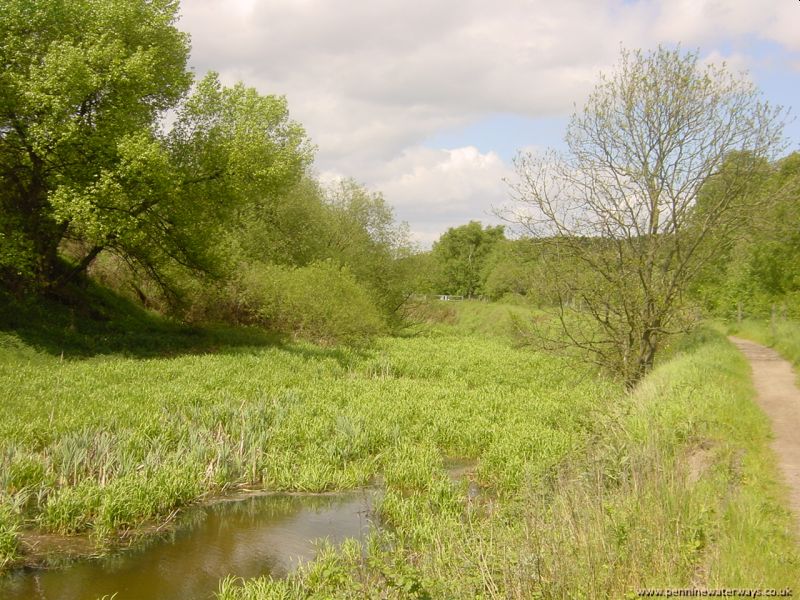 Barnsley Canal