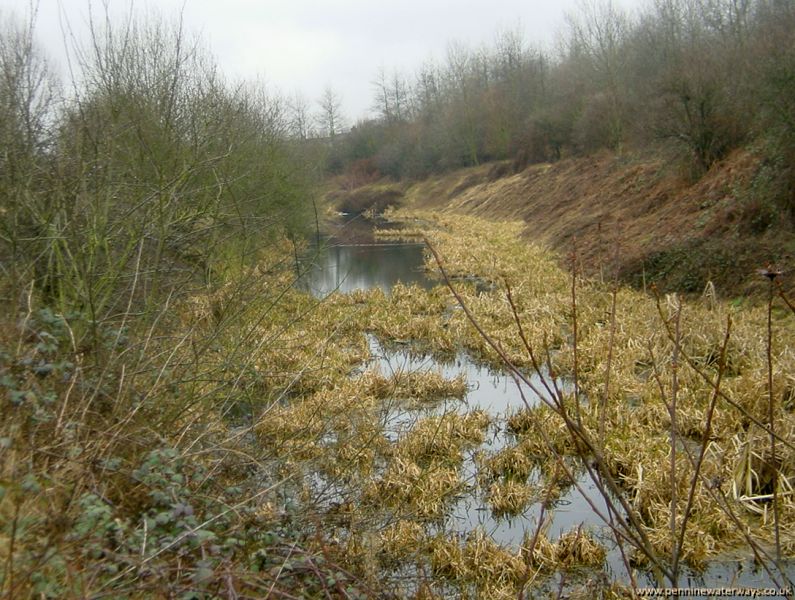 near Royston, Barnsley Canal