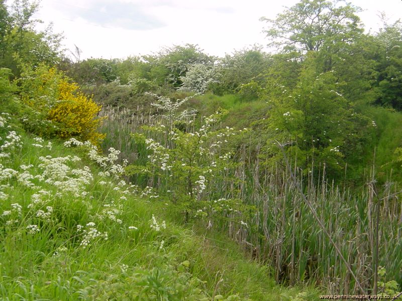 Royston, Barnsley Canal