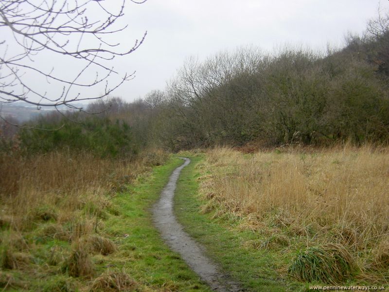 Barnsley Canal