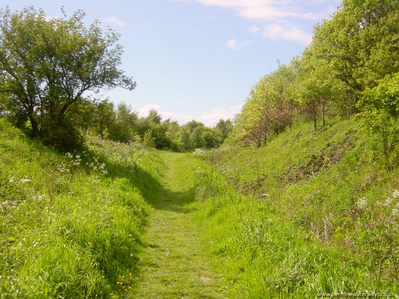 Barnsley Canal