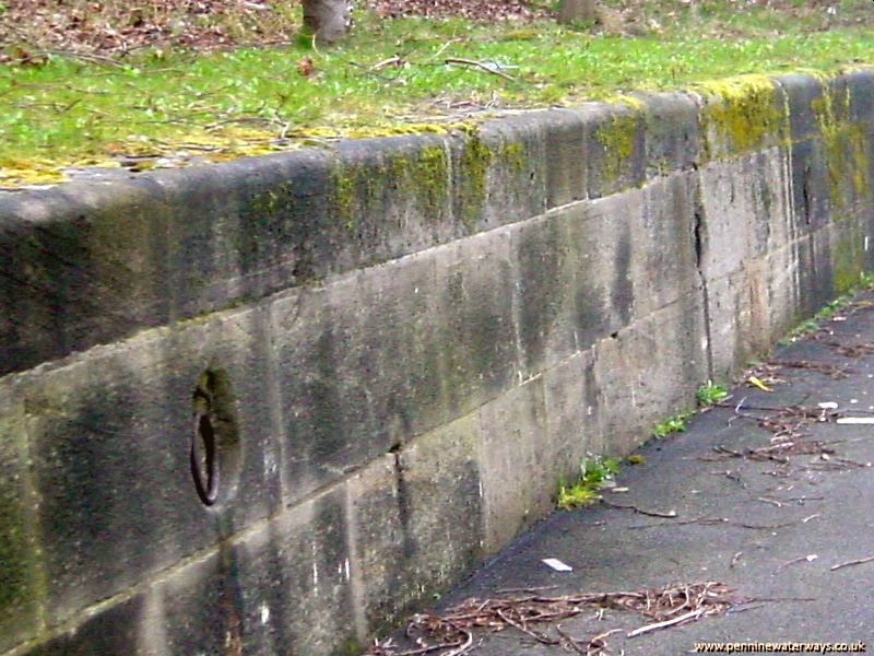 Barnsley Canal