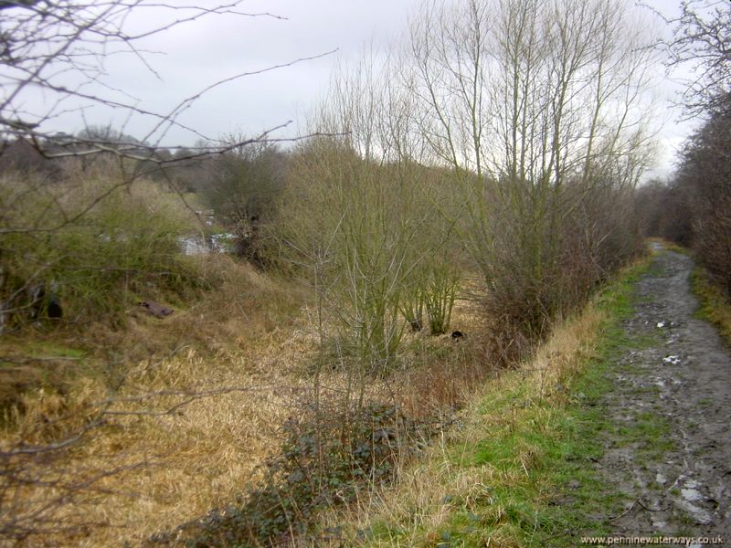 Smithies Lane, Barnsley Canal