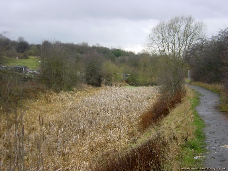 Barnsley Canal